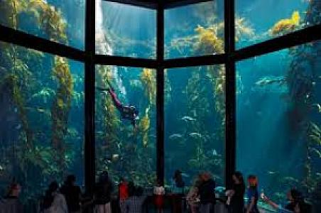 Monterey Bay Aquarium