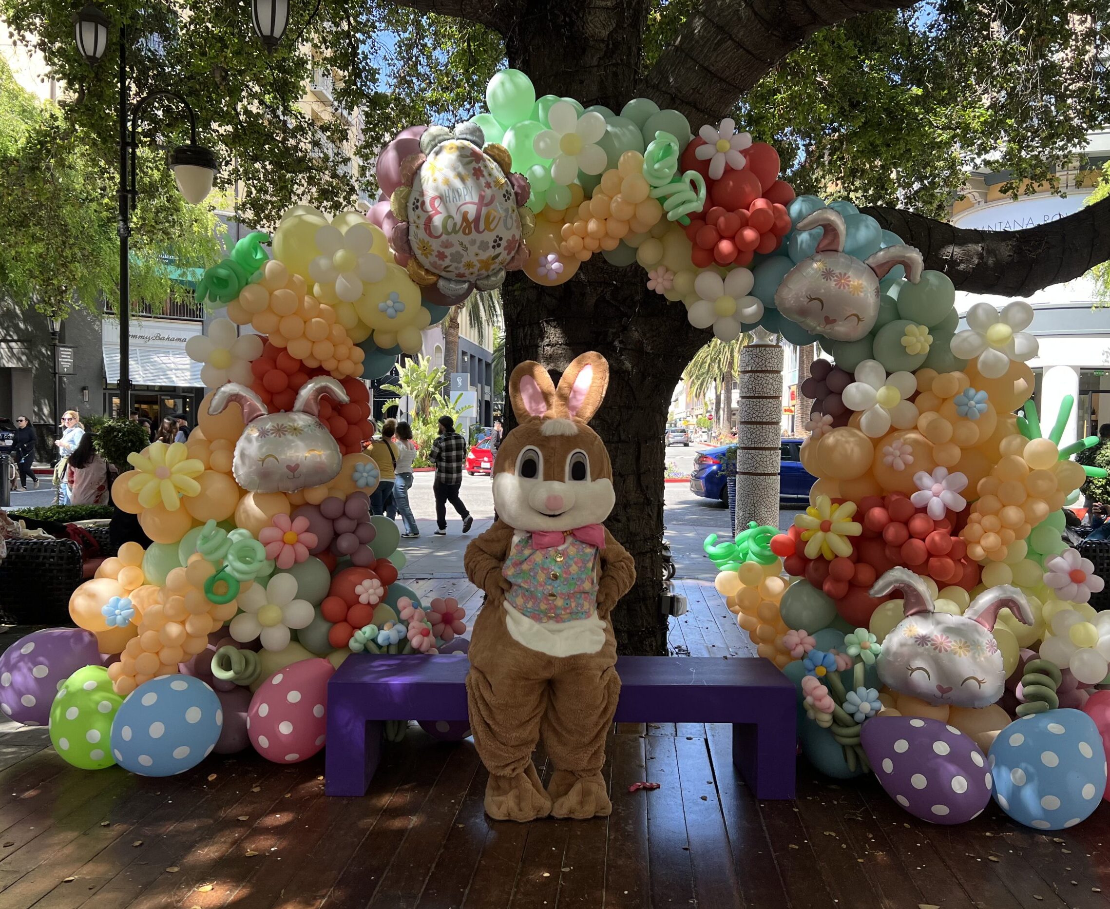 Photos with The Easter Bunny @ Santana Row