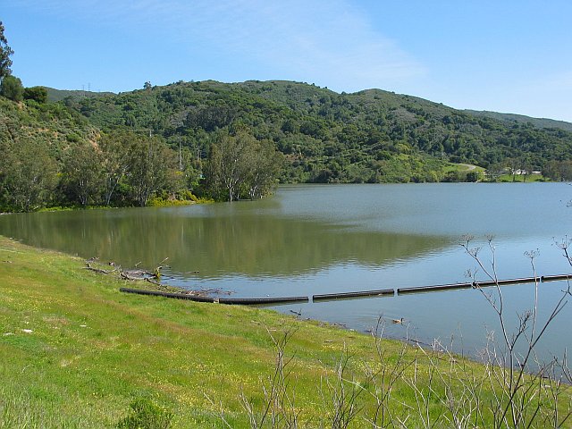 Los Gatos