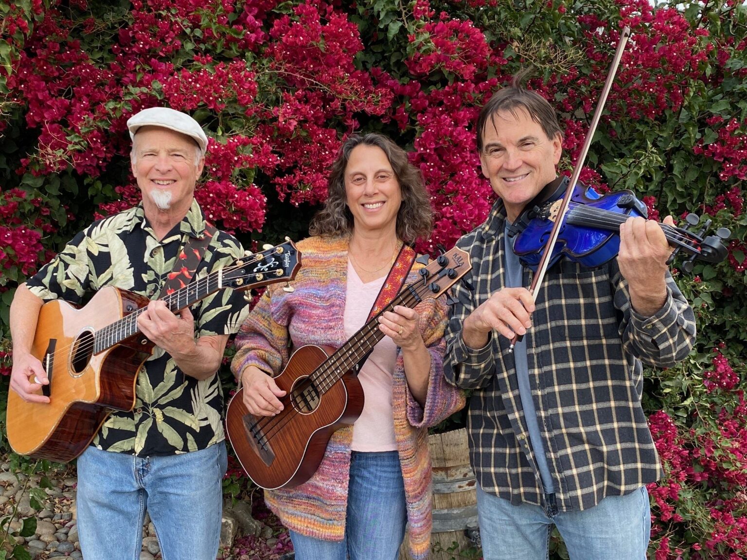 Wine Tasting @ P & V Winery Featuring "The Blue Violin"