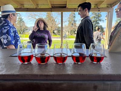 Wine Tasting @ P & V Winery Featuring %22Diver Sity%22