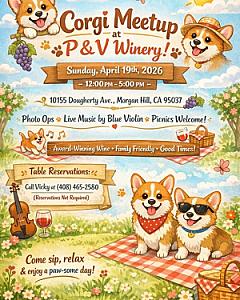 Corgi Meetup @ P and V Winery