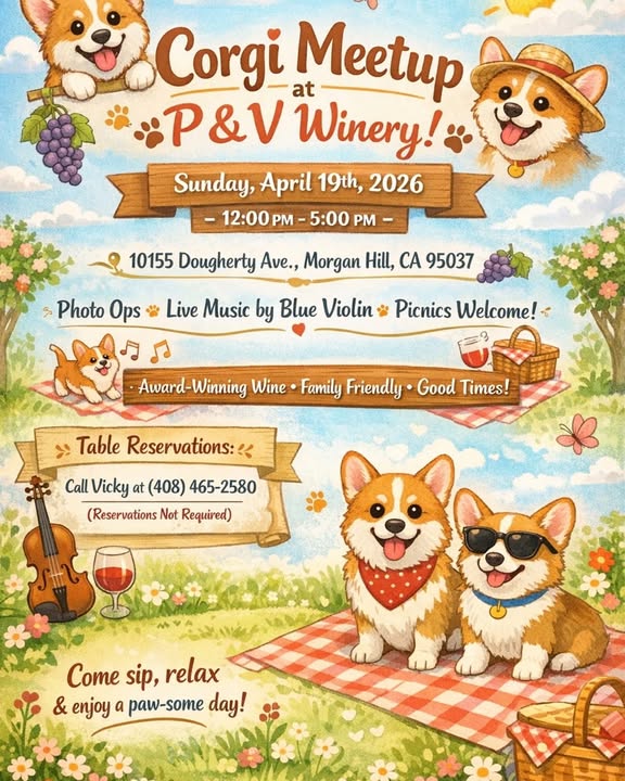 Corgi Meetup @ P and V Winery