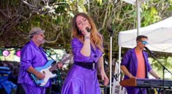 Santa Clara Art and Wine Festival