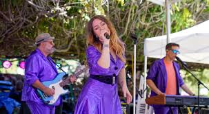 Santa Clara Art and Wine Festival