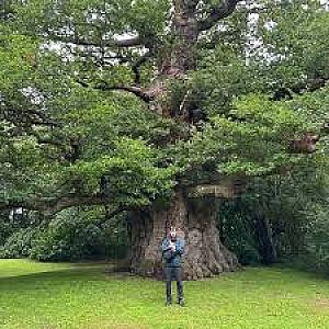 Presented by Stanford Live: Trees by Sam Green