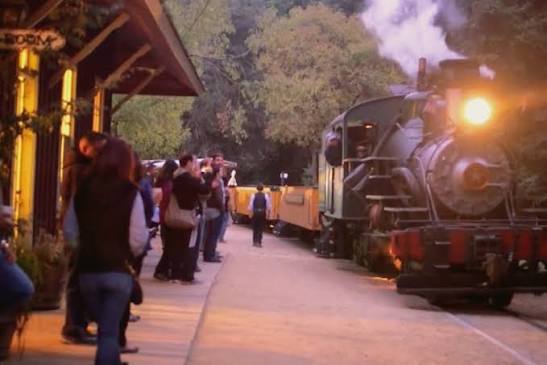 Moonlight Dinner Party @ Roaring Camp Railroads