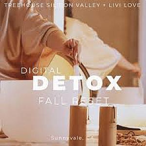 Digital Detox, Merry and Unplugged with Livi Love @ Treehouse Hotel Silicon Valley