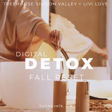 Digital Detox, Merry and Unplugged with Livi Love @ Treehouse Hotel Silicon Valley