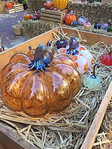 Glass Pumpkin Festival @ Santana Row