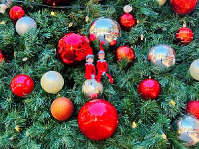 Elf on The Shelf Scavenger Hunt @ Santana Row