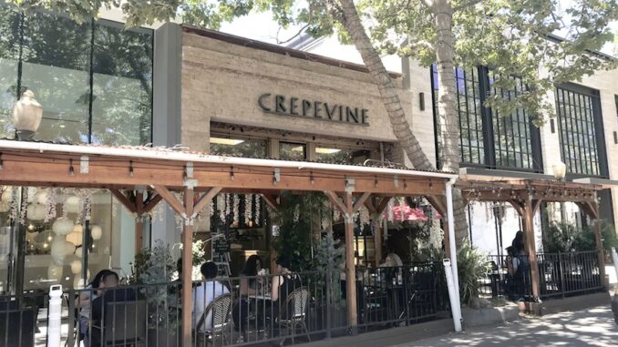 Crepevine