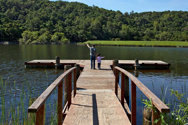 Arastradero Preserve