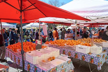 Campbell Farmer's Market