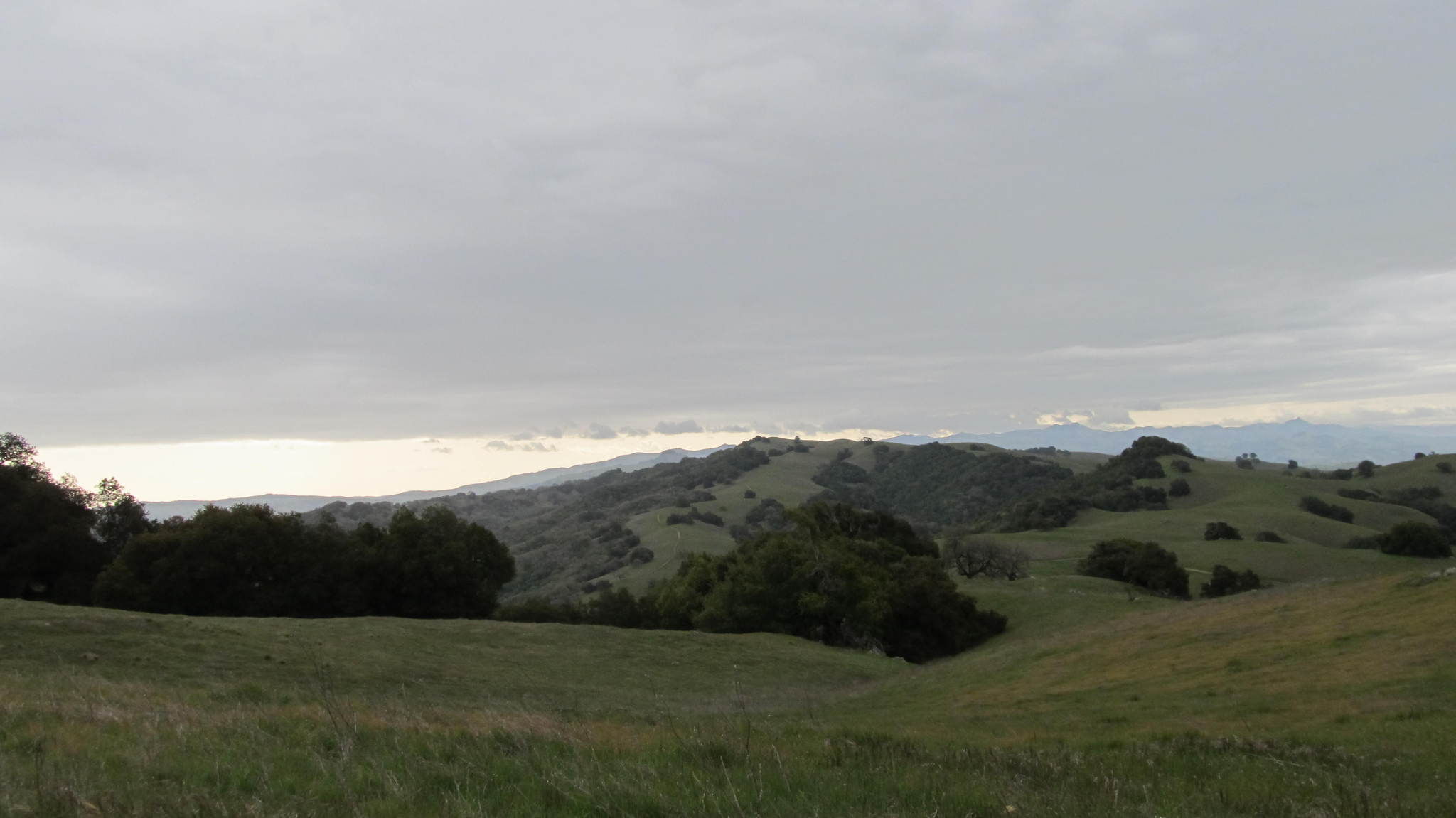 Henry W. Coe State Park - Morgan Hill
