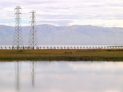 Palo Alto Baylands Nature Preserve
