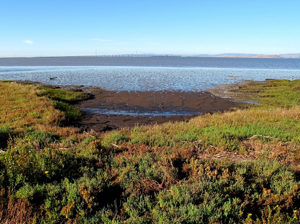Palo Alto Baylands Nature Preserve
