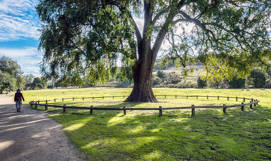 Rancho San Antonio Preserve - Los Altos