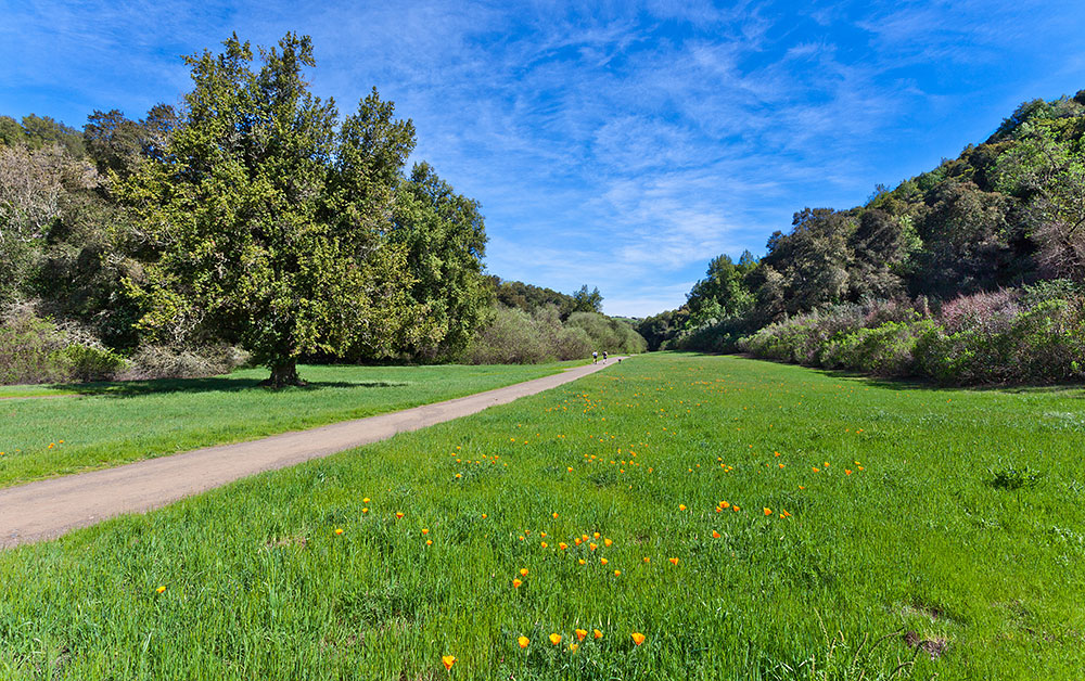 Rancho San Antonio Preserve - Los Altos