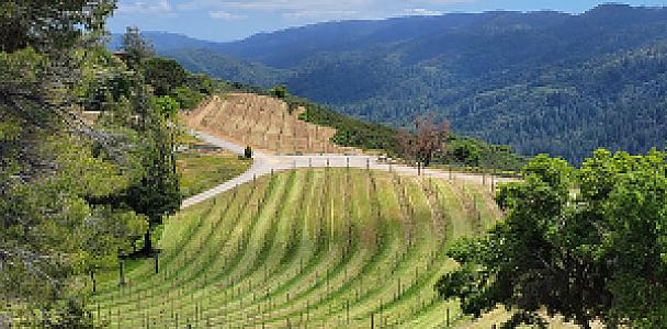 Fellom Ranch Vineyards