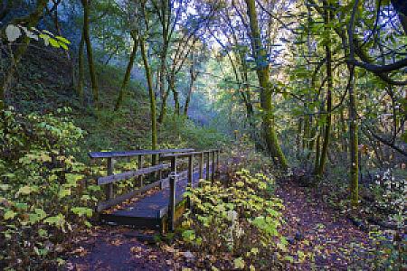 Hidden Villa - Los Altos Hills
