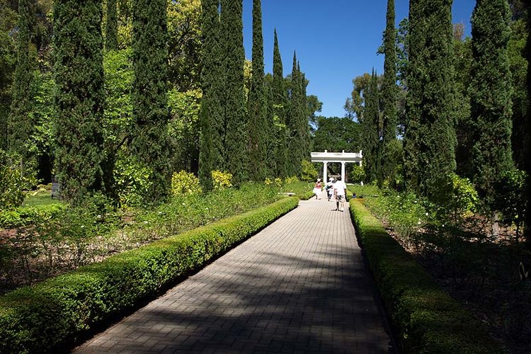 Montalvo Arts Center