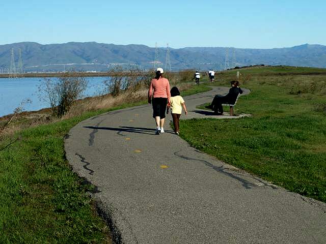 Shoreline Wildlife Refuge Area and Trail