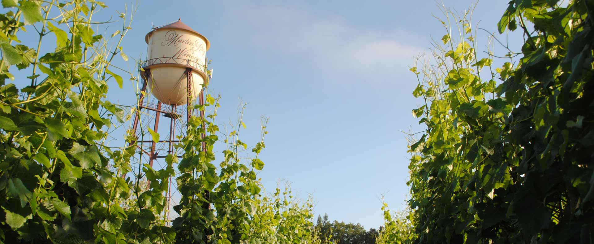 Martin Ray Winery