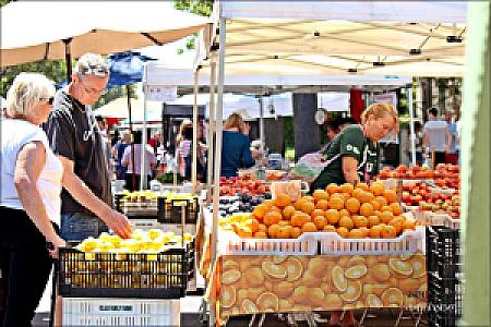 Santa Clara Farmers Market