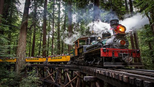 Santa Cruz Beach Train @ Roaring Camp Railroads