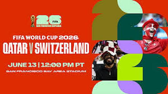 FIFA World Cup Group D - Switzerland vs. Qatar
