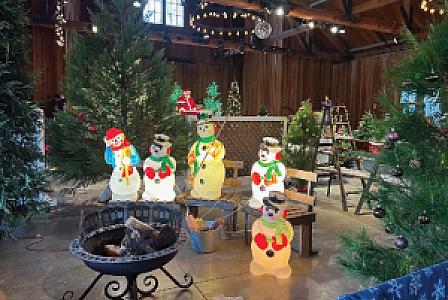 Holiday Tree Walk @ Roaring Camp - November 28-30, December 6-7, December 13-14, December 20-23