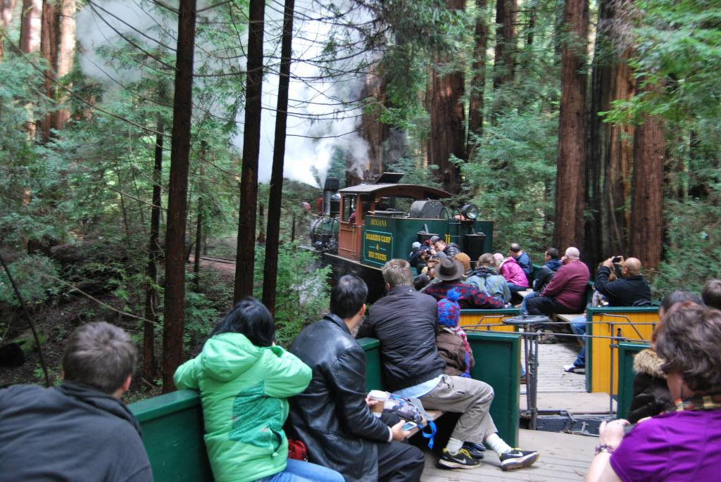 Rainforest Weekends @ Roaring Camp Railroads (January - March)