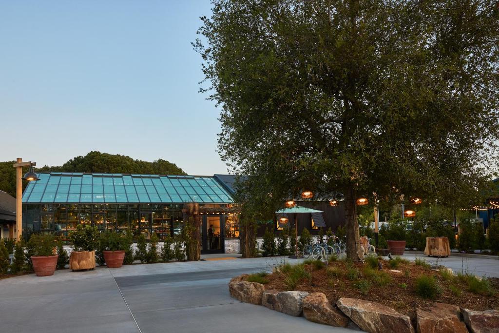 Treehouse Hotel Silicon Valley