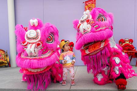Mid-Autumn Moon Festival @ Children's Discovery Museum