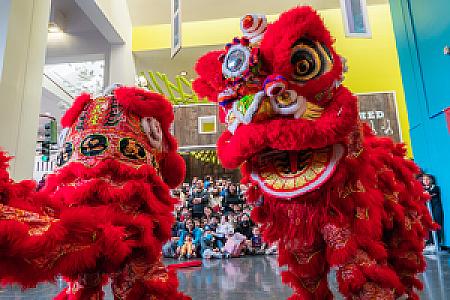Lunar New Year @ Children's Discovery Museum
