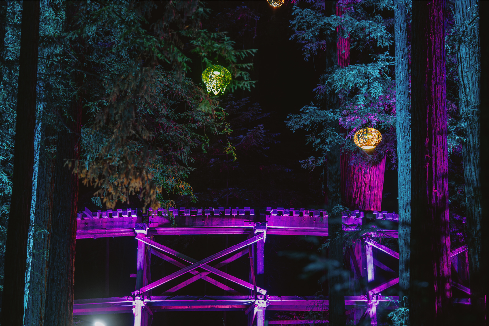 Sequoia Lights @ Roaring Camp Railroads