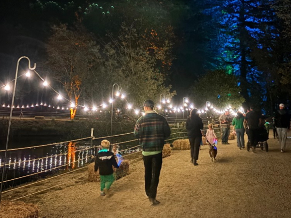 Sequoia Lights @ Roaring Camp Railroads