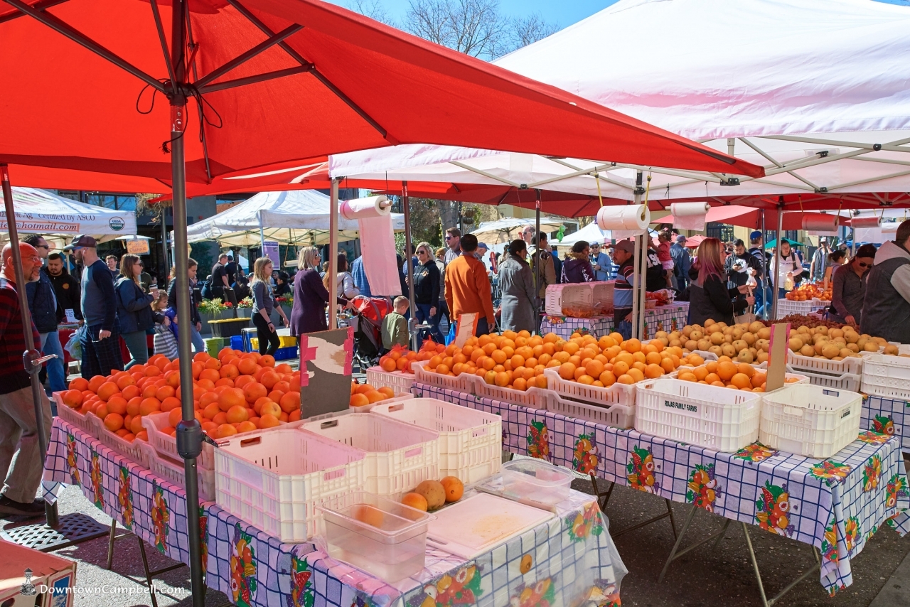 Campbell Farmer's Market
