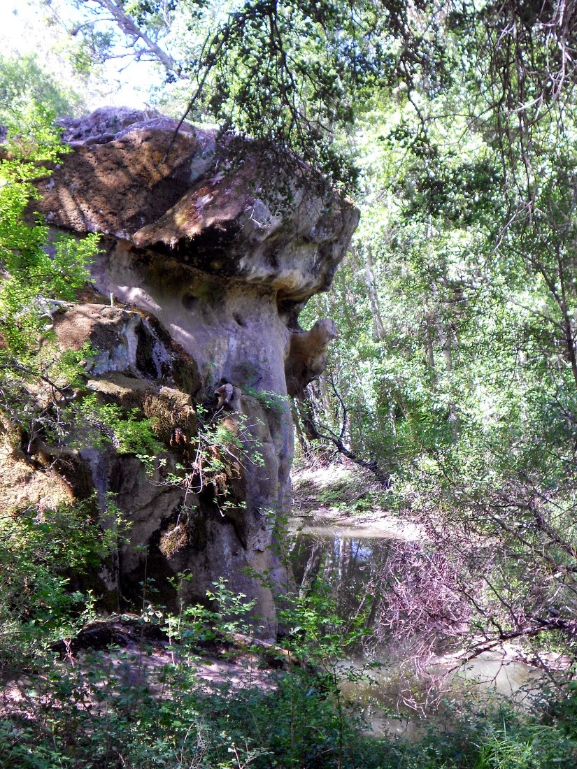 Chitactac-Adams Heritage County Park - Gilroy