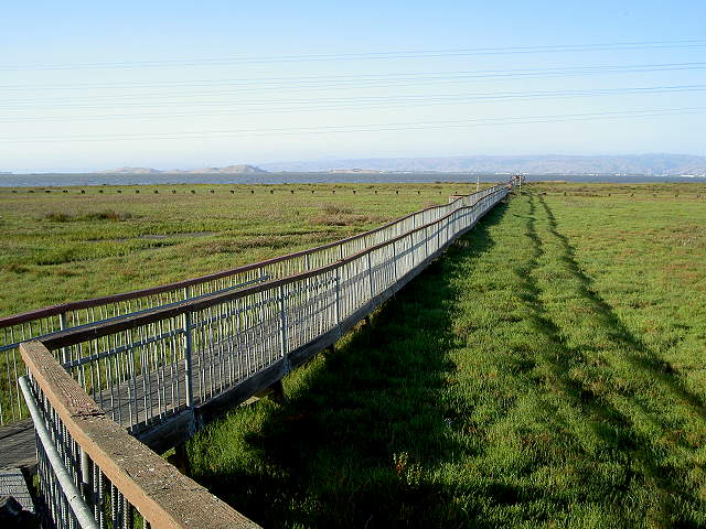 Palo Alto Baylands Nature Preserve