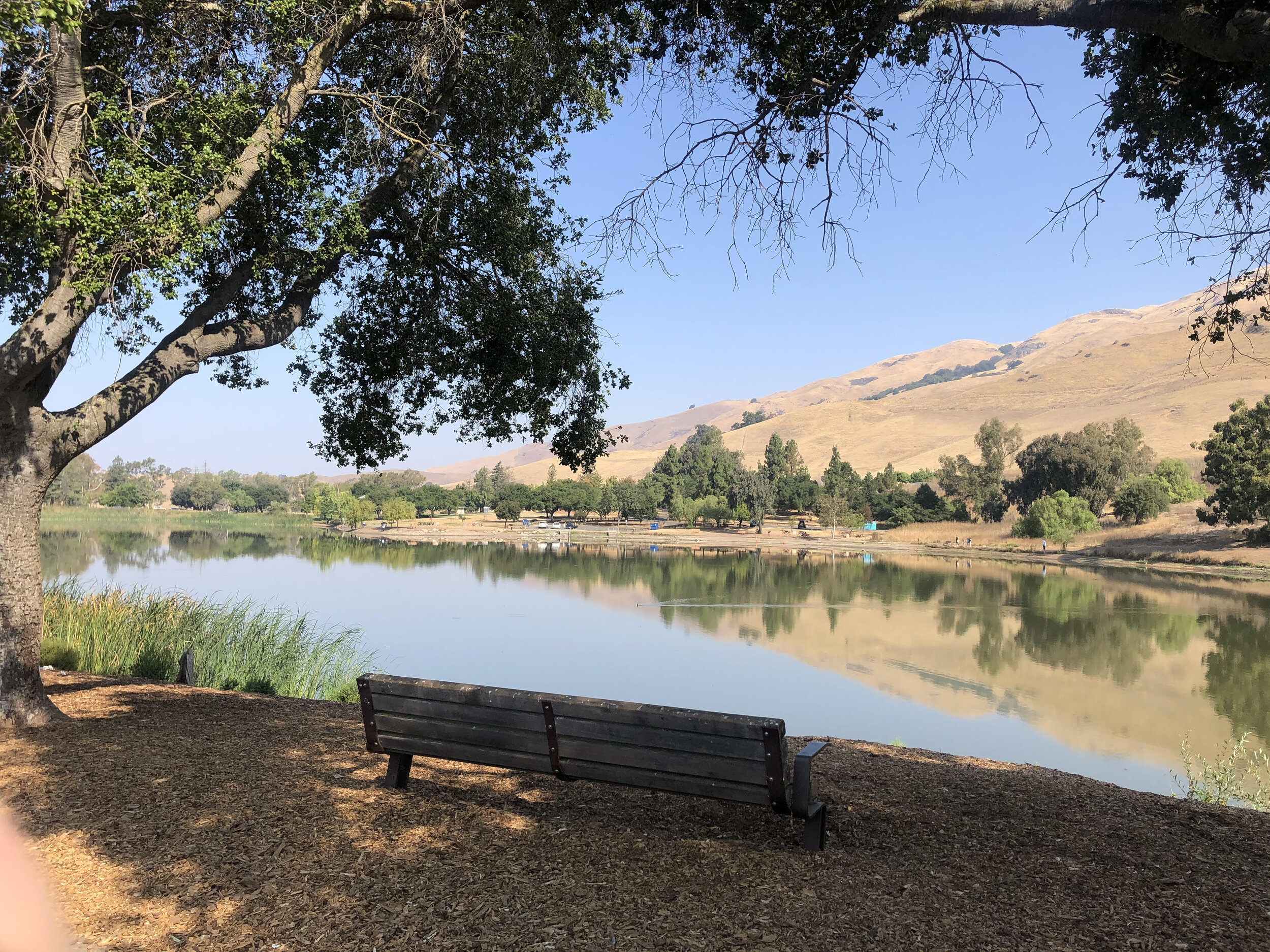 Ed R. Levin County Park - Milpitas