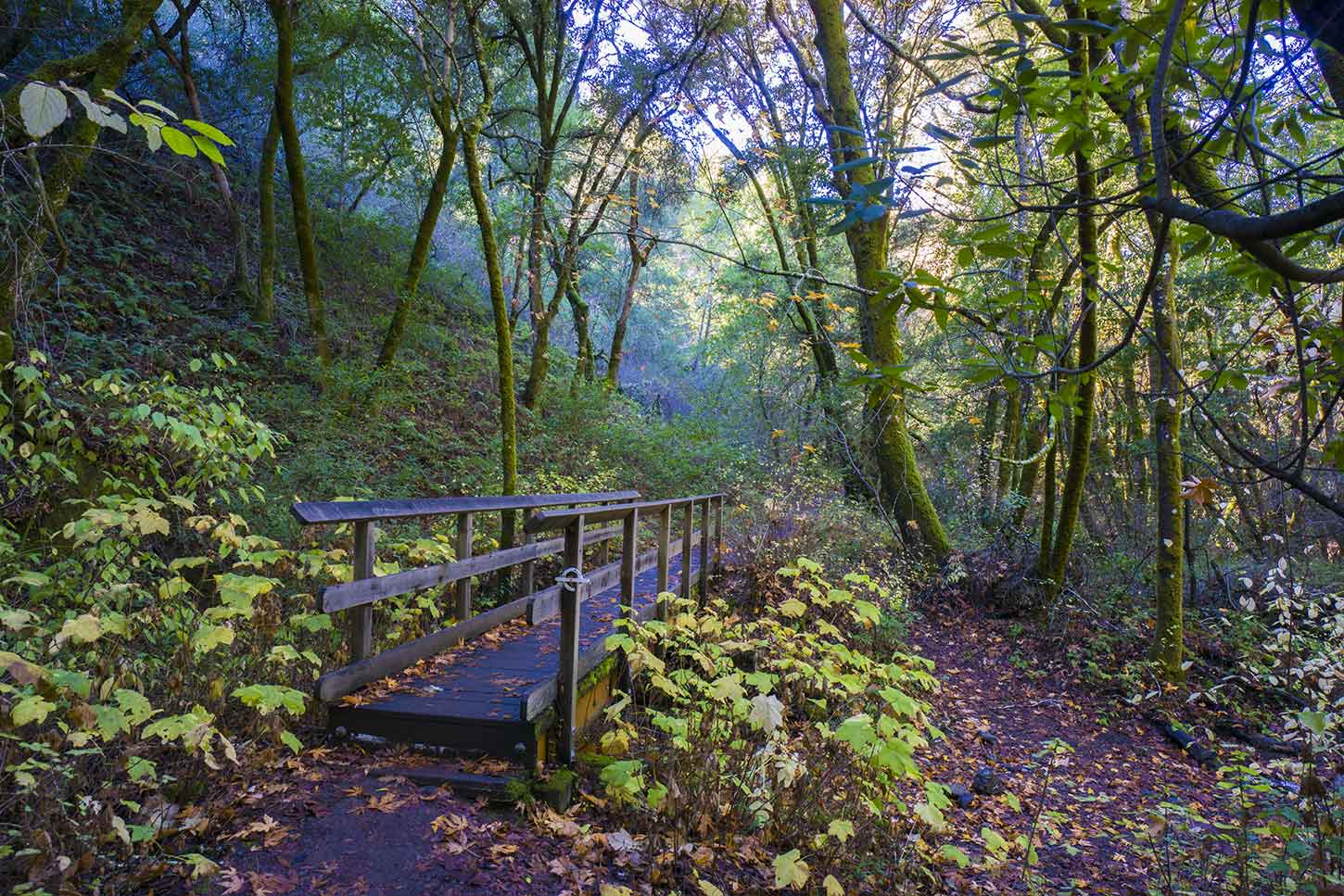 Hidden Villa - Los Altos Hills