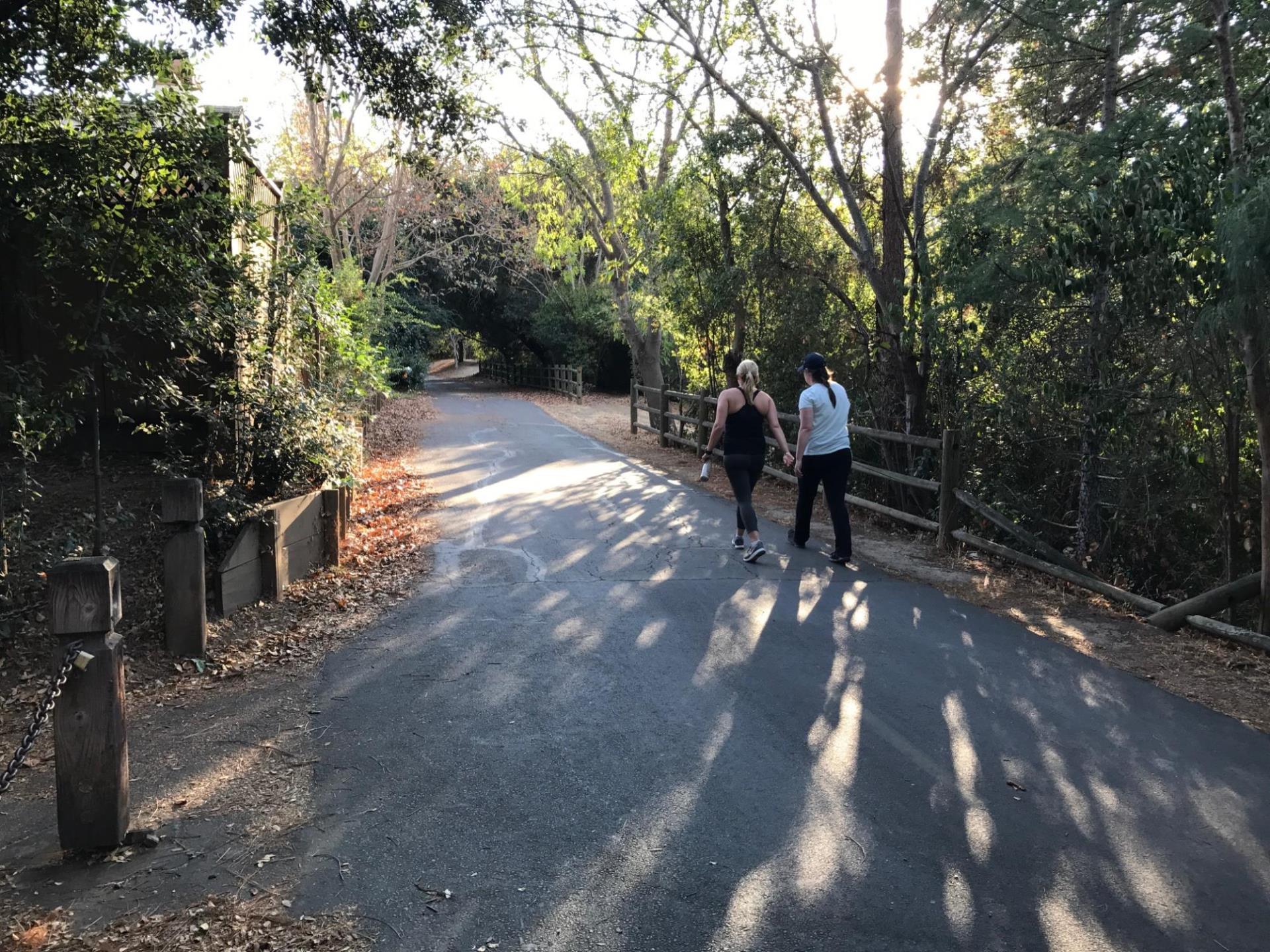 Los Gatos Creek Trail