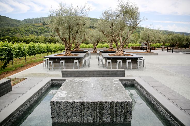 Sycamore Creek Vineyards & Winery - Morgan Hill