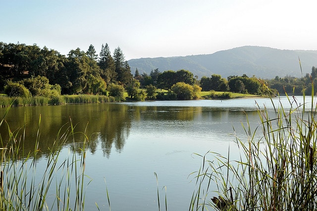Vasona County Park