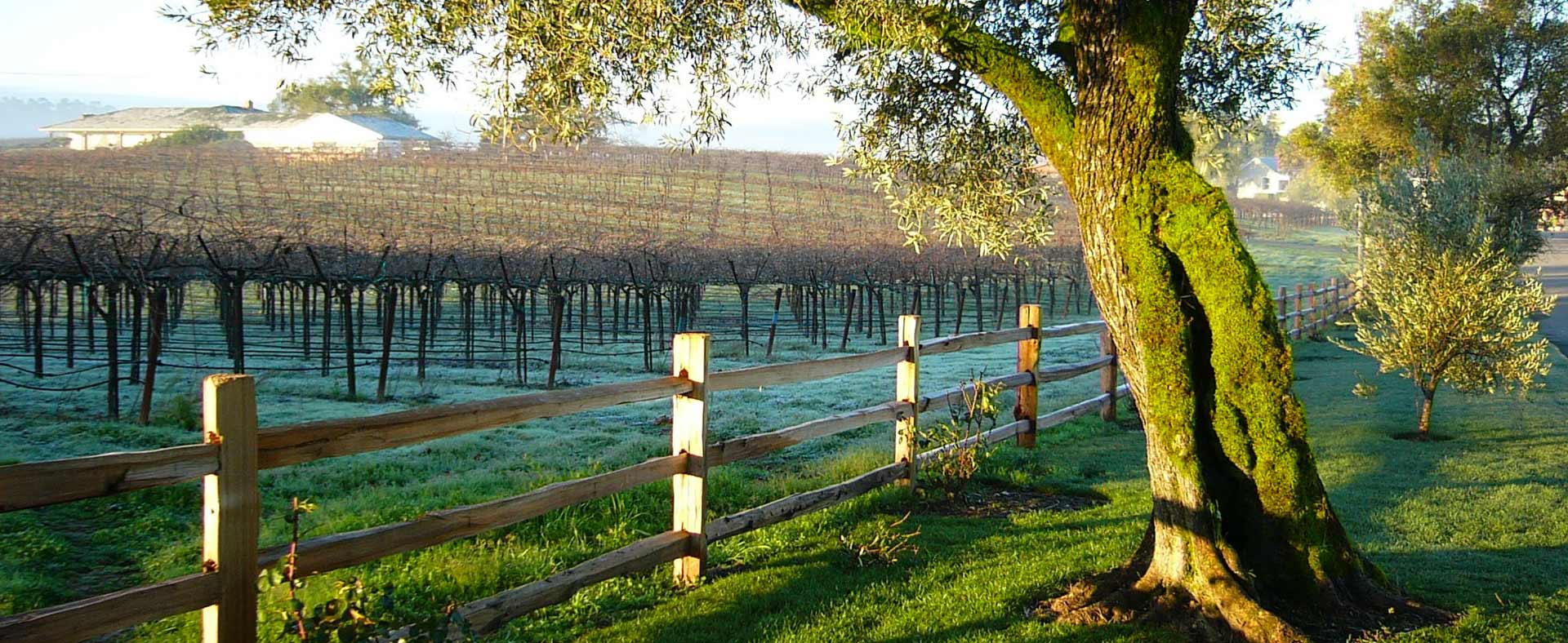 Martin Ray Winery