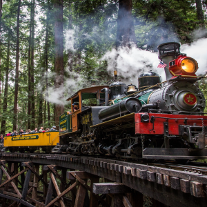 Roaring Camp Railroads