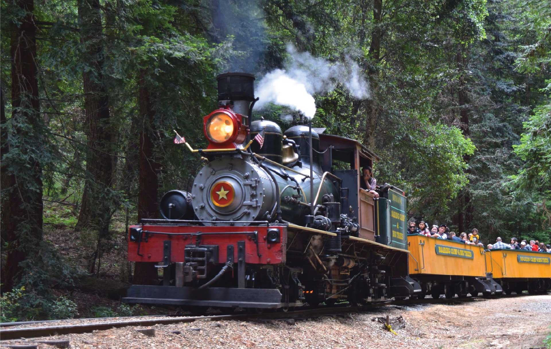 Roaring Camp Railroads