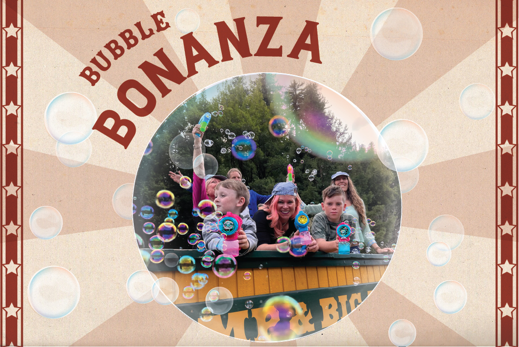 Bubble Bonanza at Roaring Camp Railroads